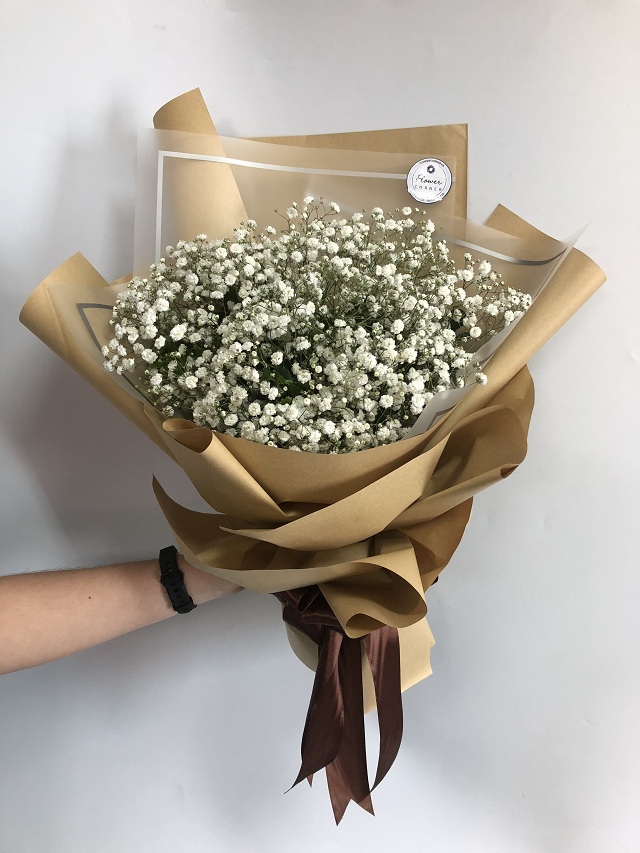 Mẫu hoa baby tượng trưng cho ngày lễ tình nhân