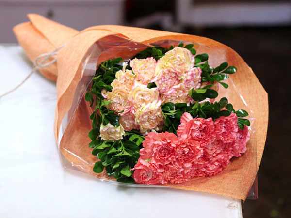 Hoa cẩm chướng tặng tốt nghiệp