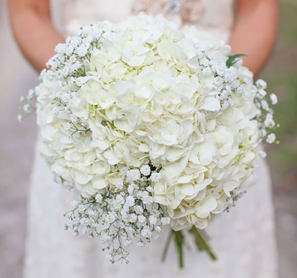 Hoa cầm tay cô dâu bằng hoa cẩm tú cầu