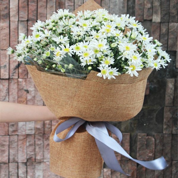 Hãy chiêm ngưỡng vẻ đẹp tuyệt vời của hoa cúc họa mi! Những đóa hoa này có mùi thơm dịu nhẹ và màu trắng tinh khôi, mang đến cho bạn cảm giác thư thái và tinh tế. Hãy xem hình ảnh liên quan để được thưởng thức hình ảnh đẹp mắt này.