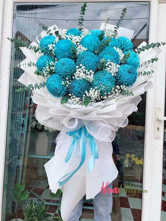 Hoa cúc mẫu đơn xanh dương tặng sinh nhật