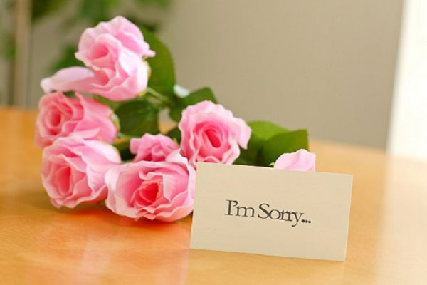 Hoa hồng xin lỗi