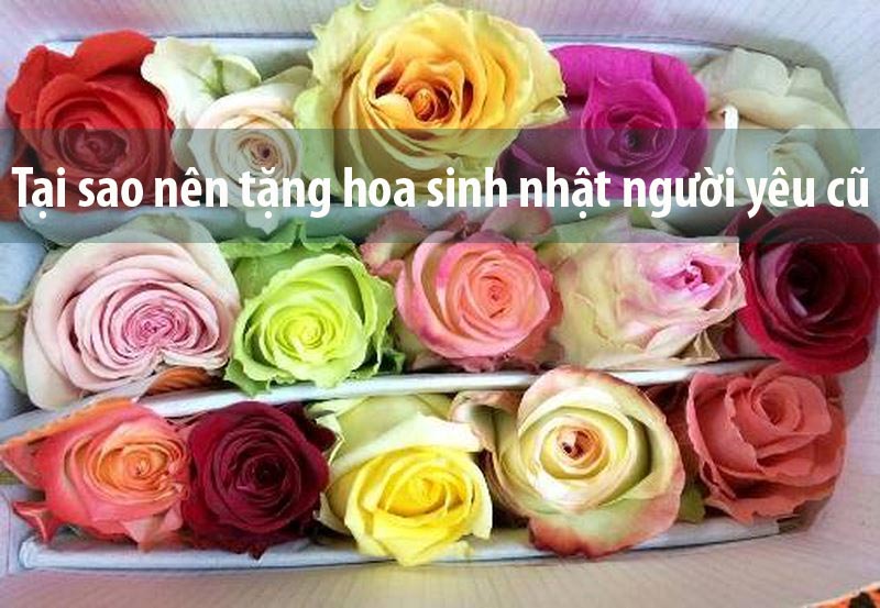 Hoa Chúc Mừng Sinh Nhật Người Yêu Ý Nghĩa Nhất  Hanoi Florist