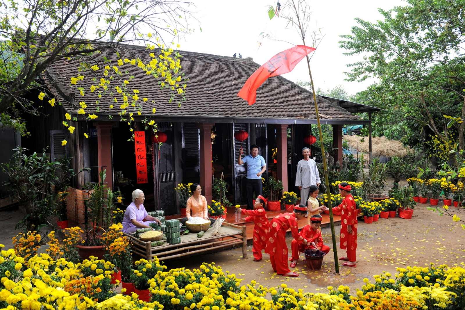 Top 5 loài hoa mang phú quý tài lộc ngày tết