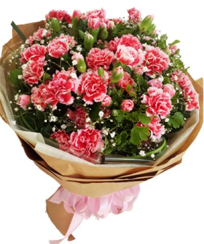 Hoa cẩm chướng tặng mẹ tỏ lòng biết ơn