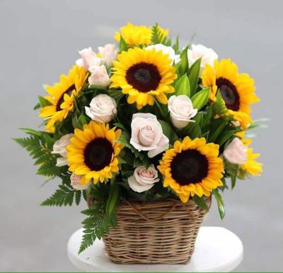 Bó hoa hướng dương tặng mẹ - tấm gương sáng đời con