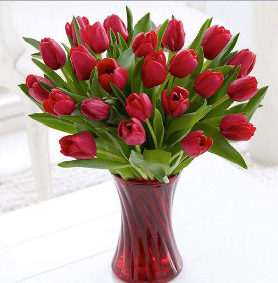 Bình hoa tulip đỏ đẹp rực rỡ