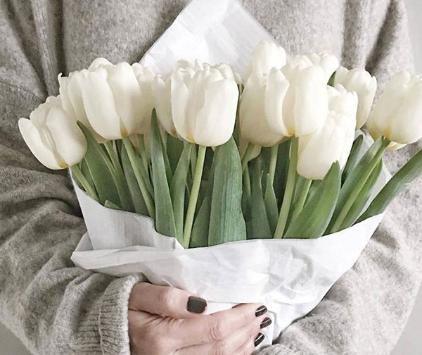 Bó hoa tulip trắng xin lỗi
