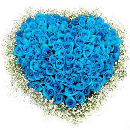 Hoa xanh dương tình yêu