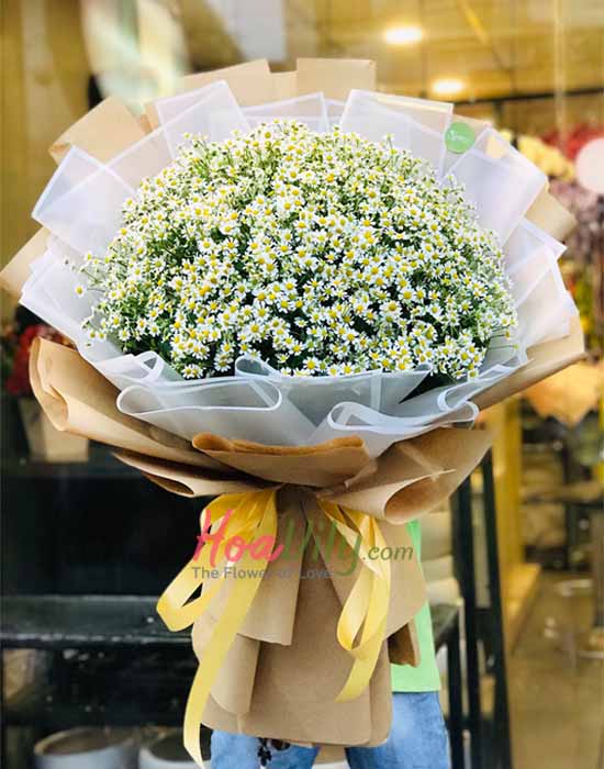 Hoa cúc tana được gói bởi nhân viên shop
