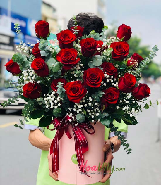 Top hơn 89 hoa hồng đẹp chào ngày mới siêu đỉnh - thtantai2.edu.vn
