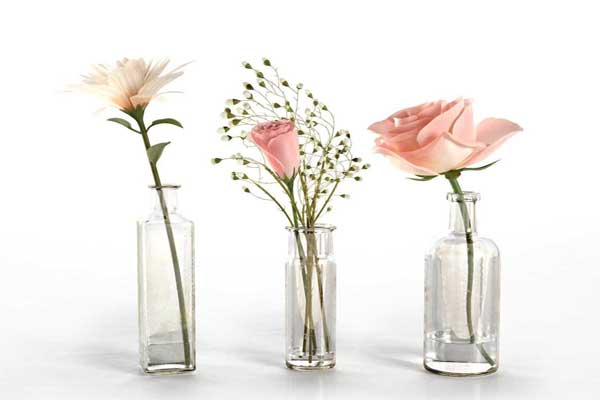mẫu bình hoa thủy tinh cắm hoa cắt cành phù hợp nhất