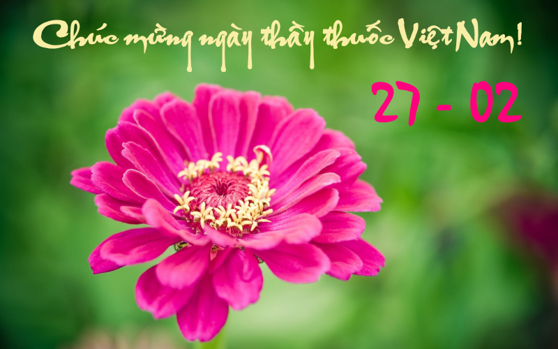 thiệp chúc mừng ngày thầy thuốc Việt Nam đơn giản