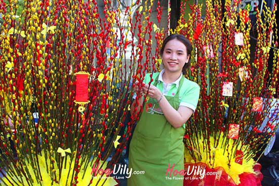 Mua nụ tầm xuân giá rẻ ở TP.Hồ Chí Minh