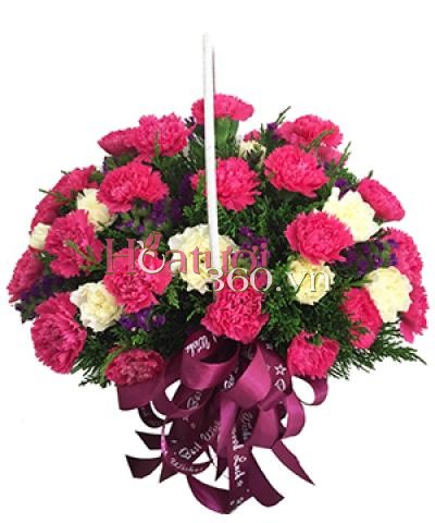  hoa cẩm chướng ý nghĩa dành tặng mẹ 