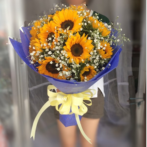 hoa-huong-duong hoa hướng dương giá rẻ\