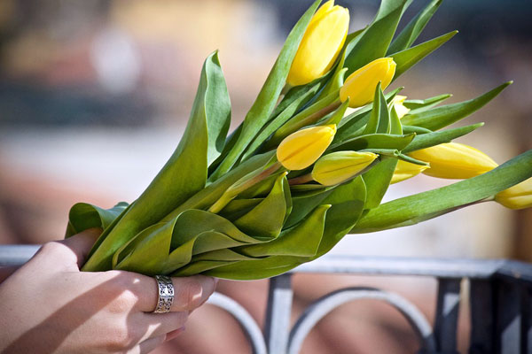 Tự tay bó hoa tulip vàng