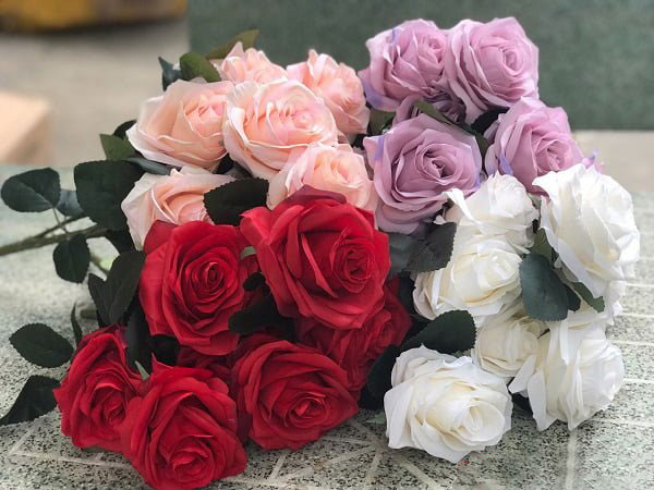 Ý nghĩa hoa hồng xin lỗi