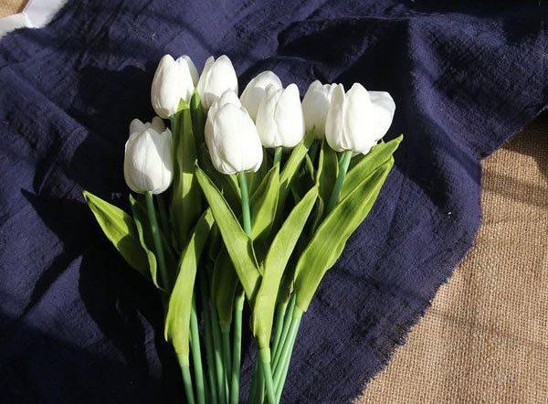 Ý nghĩa hoa tulip trắng xin lỗi